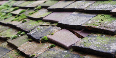 Mynachdy roof repair costs